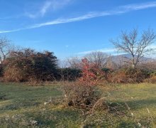 elanlari alqi satqisi elanlari Qəbələ ş.