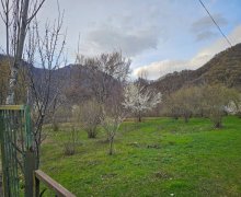 Satılır Torpaq Qəbələ ş.