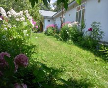 Kirayə (günlük) Həyət evi/villa Qəbələ ş.