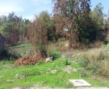 Satılır Torpaq Qusar ş.