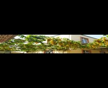 Satılır Həyət evi/villa Buzovna, Xəzər r.