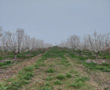 kreditle torpaq alqi satqis Ağdaş ş.