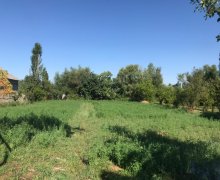 elanlari alqi satqisi elanlari Göyçay ş.