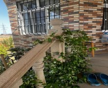 Satılır Bağ evi Şüvəlan, Xəzər r.