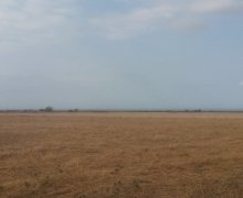 xacmazda torpaq alqi satqisi Xaçmaz ş.