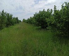 Satılır Torpaq Qusar ş.