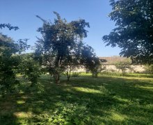 Satılır Torpaq İsmayıllı ş.