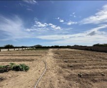 Satılır Torpaq Şüvəlan, Xəzər r.