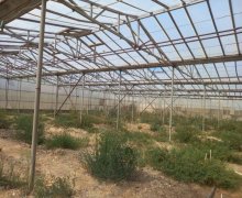 rayonlarda torpaq alqi satqisi Goradil, Abşeron r.