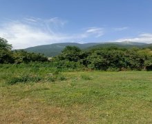 Satılır Torpaq İsmayıllı ş.