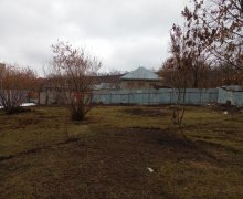 qebelede torpaq alqi satqisi Qəbələ ş.