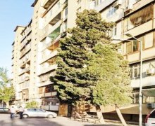 Satılır Köhnə Tikili Neftçilər m., Bakıxanov qəs., Sabunçu r.