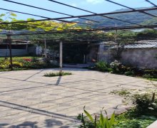 Kirayə (günlük) Həyət evi/villa Qax ş.