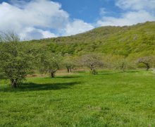 ismayillida torpaq alqi satqisi İsmayıllı ş.