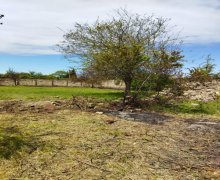 elanlari alqi satqisi elanlari Xaçmaz / Nabran ş.