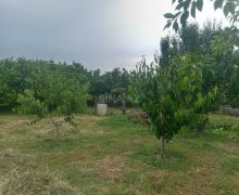 Продажа Дома/Виллы Губа г. Продажа Дома/Виллы Губа г.