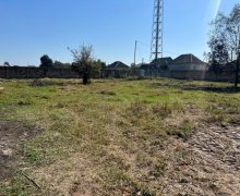 elanlari alqi satqisi elanlari Lənkəran ş.