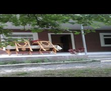 Kirayə (günlük) Həyət evi/villa Qax ş. Kirayə (günlük) Həyət evi/villa Qax ş.