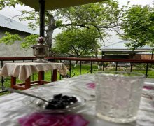 azerbaycanda günlük istirahet merkezleri/villa Qəbələ ş.