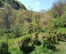 Satılır Həyət evi/villa İsmayıllı ş.