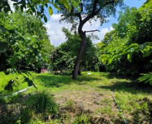 Satılır Torpaq Qəbələ ş.