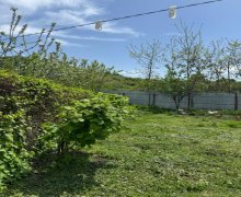 ismayillida torpaq alqi satqisi İsmayıllı ş.