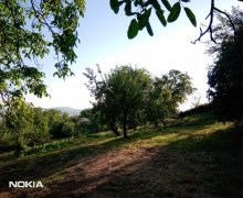 Satılır Torpaq İsmayıllı ş.