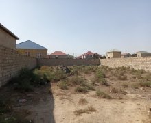 rayonlarda torpaq alqi satqisi Məhəmmədli, Abşeron r.