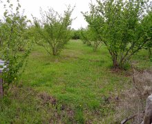 Satılır Torpaq Qusar ş.