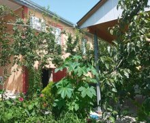 ismayilli günlük kiraye evler/villa İsmayıllı ş. ismayilli günlük kiraye evler/villa İsmayıllı ş.