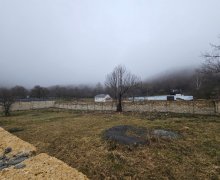 Satılır Torpaq Qəbələ ş.