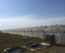 elanlari alqi satqisi elanlari Dədə Qorqud qəs., Suraxanı r.