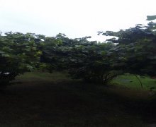 Satılır Həyət evi/villa Xaçmaz ş.