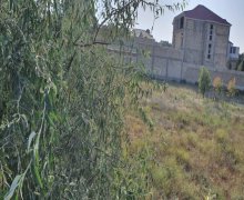 novxanida torpaq satilir Novxanı, Abşeron r.