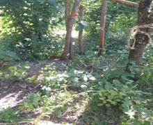 Satılır Torpaq Qusar ş.