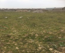 Satılır Torpaq Binə qəs., Xəzər r.