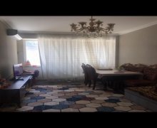 Kirayə (aylıq) Yeni Tikili 20 Yanvar m., Yasamal r.