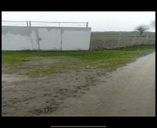 Kirayə (aylıq) Torpaq Masallı ş.