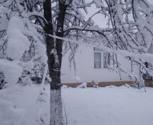 Kirayə (günlük) Həyət evi/villa Qusar ş.