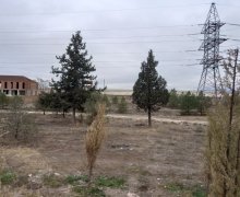 Satılır Torpaq Gəncə ş.