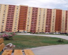 Продажа Новостройка Сарай, Абшерон р.