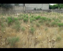 xirdalanda torpaq Xırdalan ş.