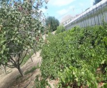 novxanida torpaq satilir Novxanı, Abşeron r.