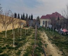 novxanida torpaq satilir Novxanı, Abşeron r.