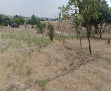 qurd deresi torpaq alqi satqisi Sumqayıt ş.