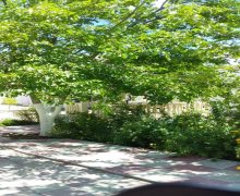 Kirayə (aylıq) Bağ evi Şüvəlan, Xəzər r.