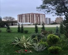 Kirayə (aylıq) Yeni Tikili 28 May m., Nəsimi r.