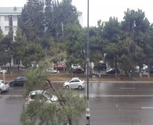 Kirayə (aylıq) Köhnə Tikili Nəriman Nərimanov m., Nərimanov r.