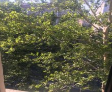 Satılır Köhnə Tikili Nizami m., Yasamal r.