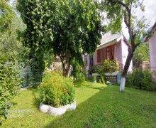 Kirayə (günlük) Həyət evi/villa Qəbələ ş.
